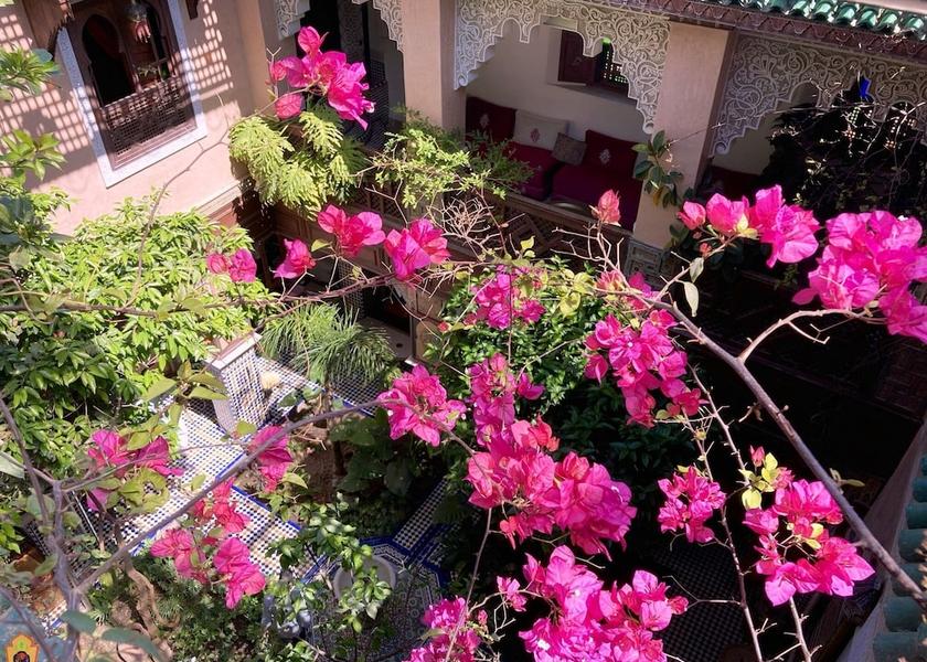 Fès-Meknès Fes Primary image