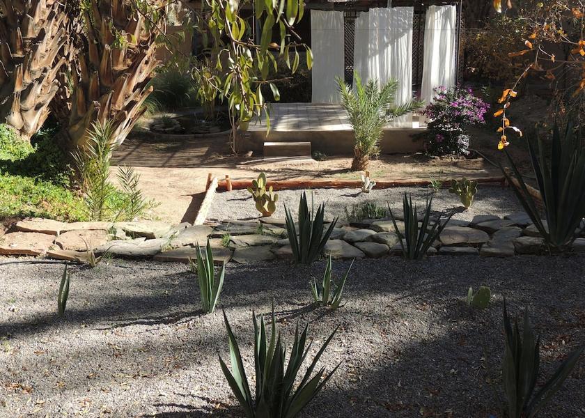 Drâa-Tafilalet Agdz Garden