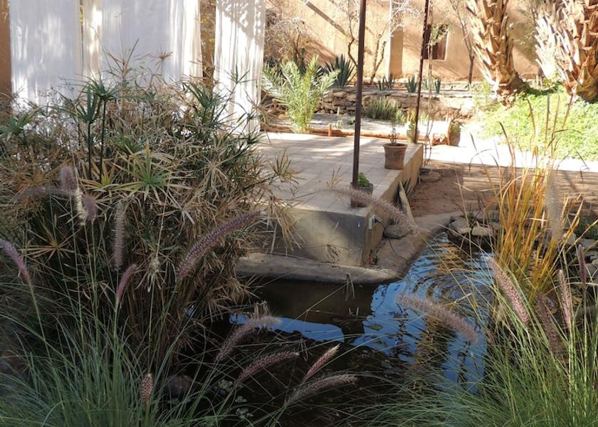 Drâa-Tafilalet Agdz Garden