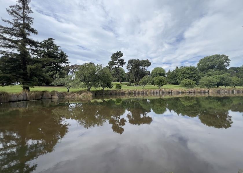 Canterbury Timaru Point of interest
