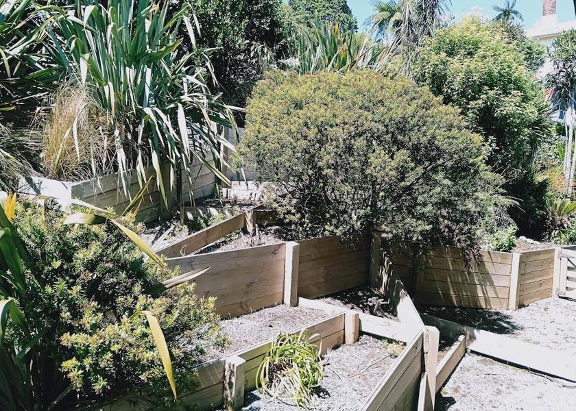West Coast Greymouth Garden