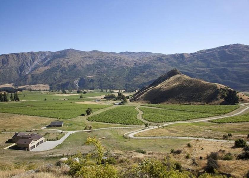 Otago Gibbston Aerial View