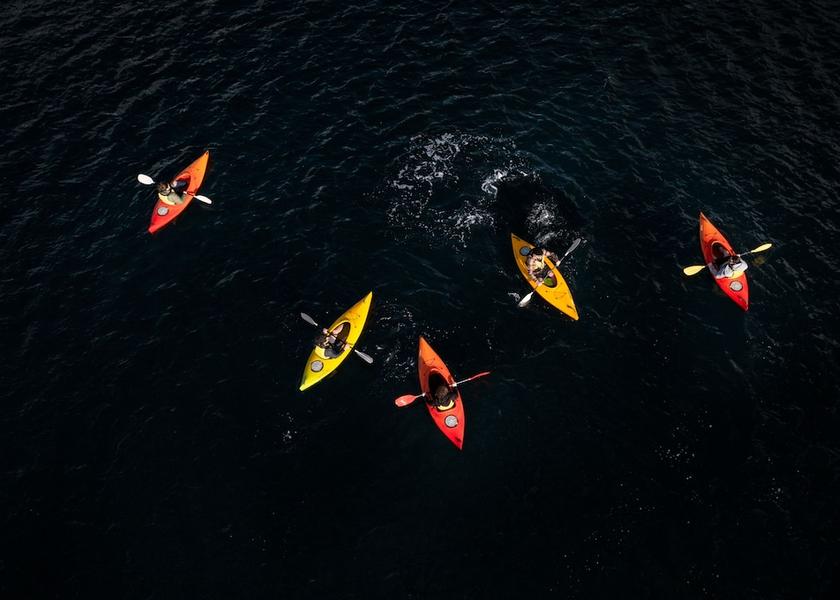 Southland Milford Sound Kayaking