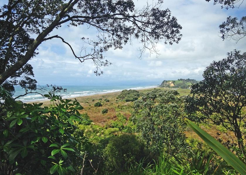 Bay of Plenty Region Opotiki View from Property