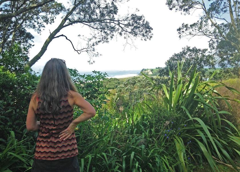 Bay of Plenty Region Opotiki Garden