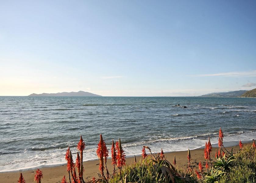 Greater Wellington Porirua View from property