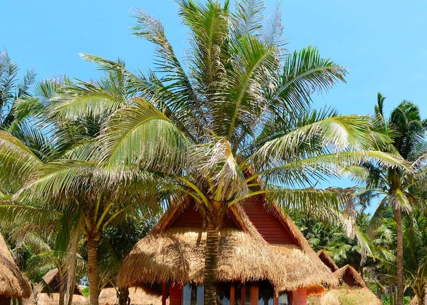 Mimaropa El Nido Room