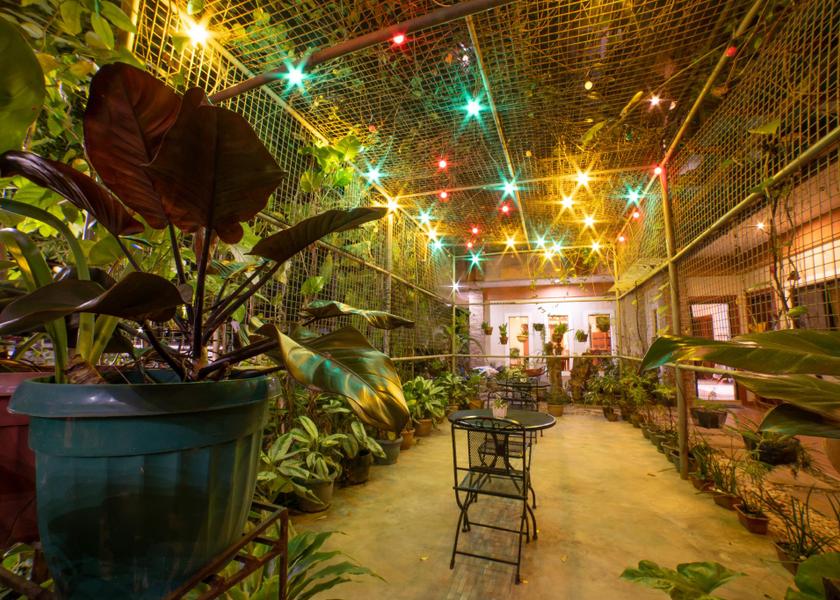 Mimaropa Puerto Princesa Garden
