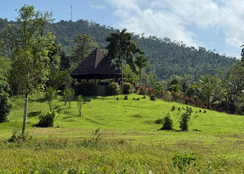 Mimaropa Puerto Princesa 