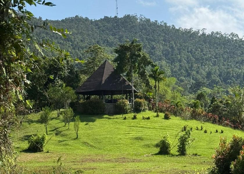 Mimaropa Puerto Princesa 