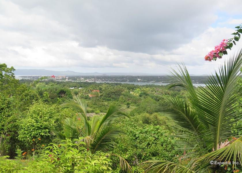 Central Visayas Dauis View from property