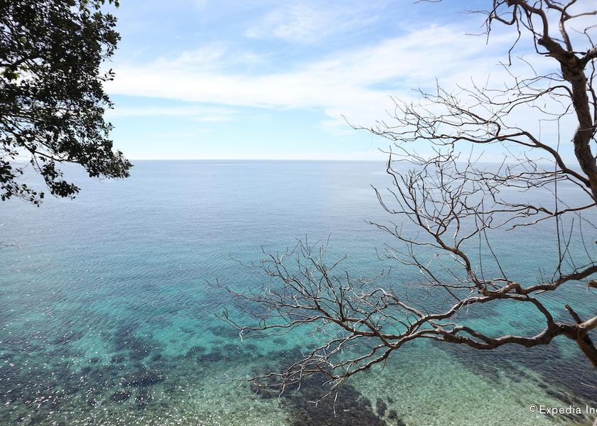  Siaton View from Property