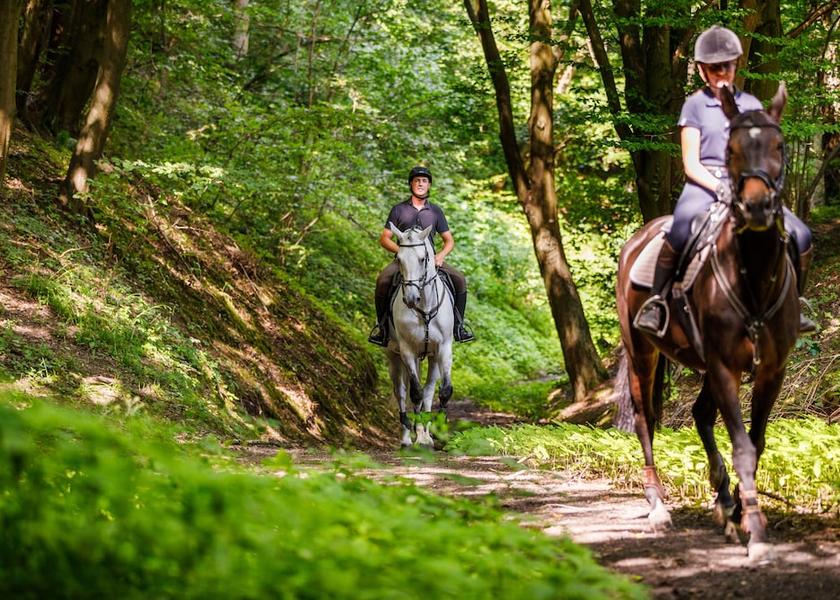 Lesser Poland Voivodeship Michalowice Hiking