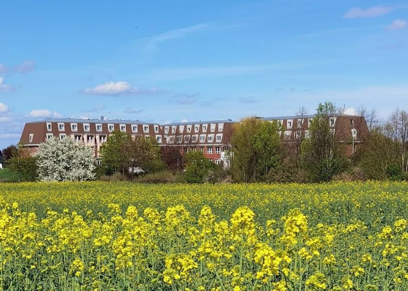 Saxony-Anhalt Leuna Exterior Detail