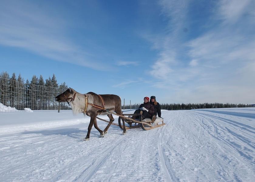 Norrbotten County Kalix Snow and Ski Sports