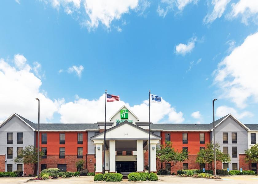 Louisiana Sulphur Primary image