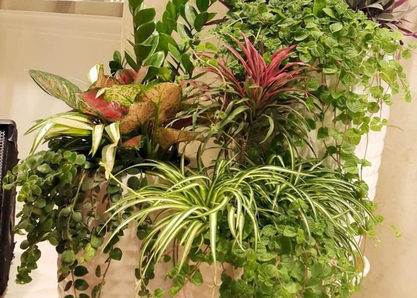 Khanh Hoa Cam Lam In-Room Amenity