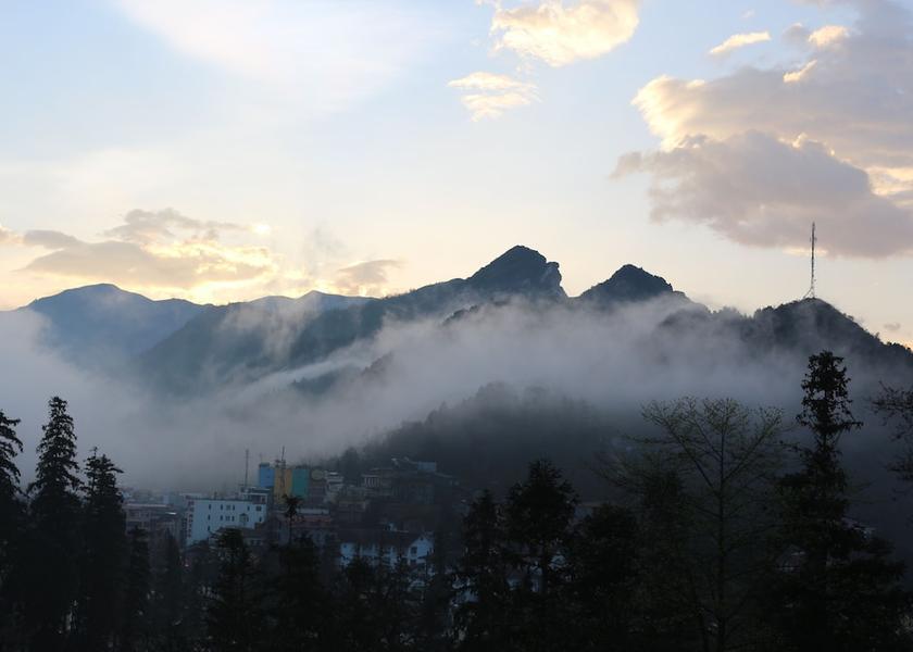 Lao Cai Sapa Terrace