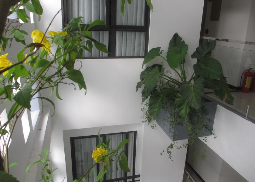 Khanh Hoa Province Nha Trang View from property