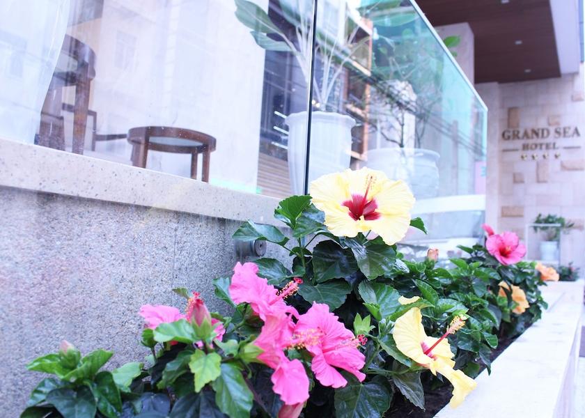 Thua Thien-Hue Da Nang Terrace