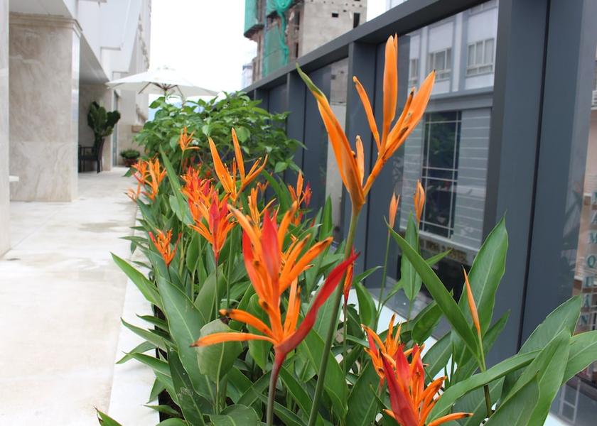Thua Thien-Hue Da Nang Indoor Pool