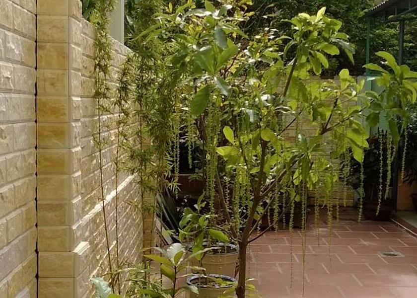 Quang Nam Hoi An View from Property