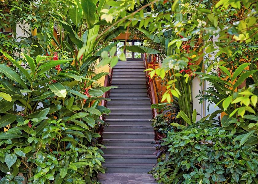 Da Nang Municipality Hoi An Garden