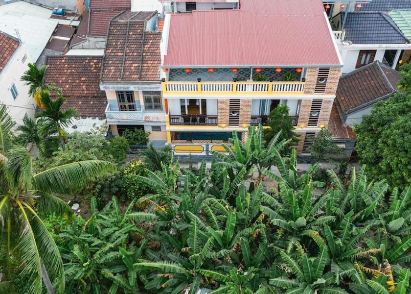 Da Nang Municipality Hoi An Exterior