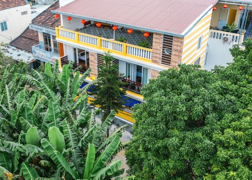 Da Nang Municipality Hoi An Building design