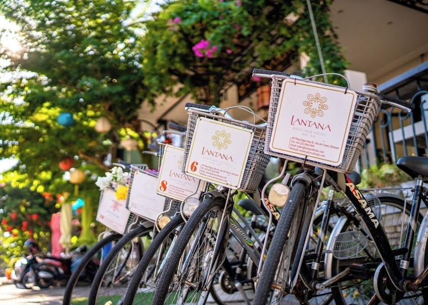 Thua Thien-Hue Da Nang Bicycling