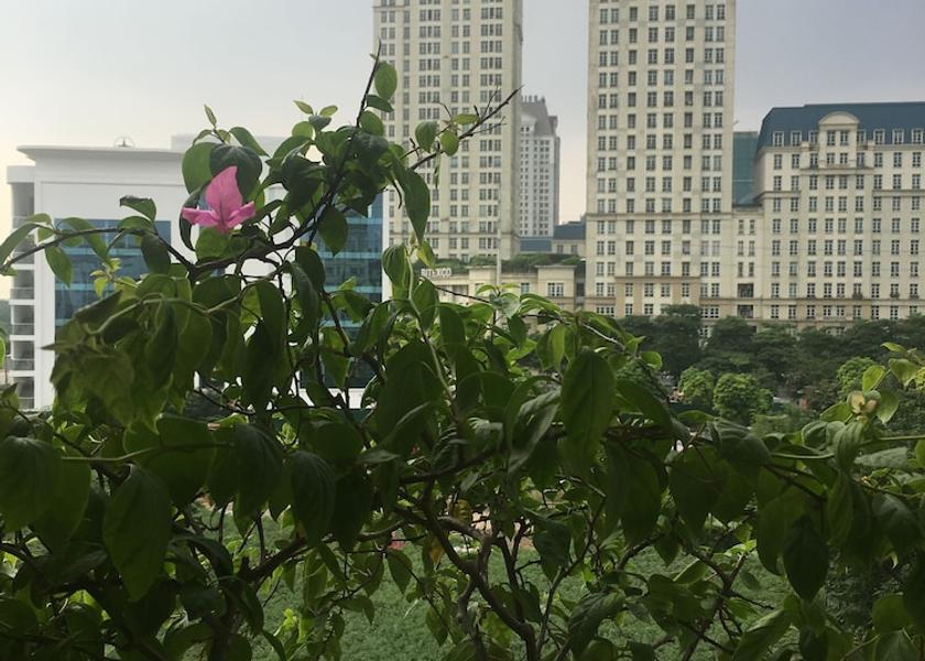  Hanoi Land view from property