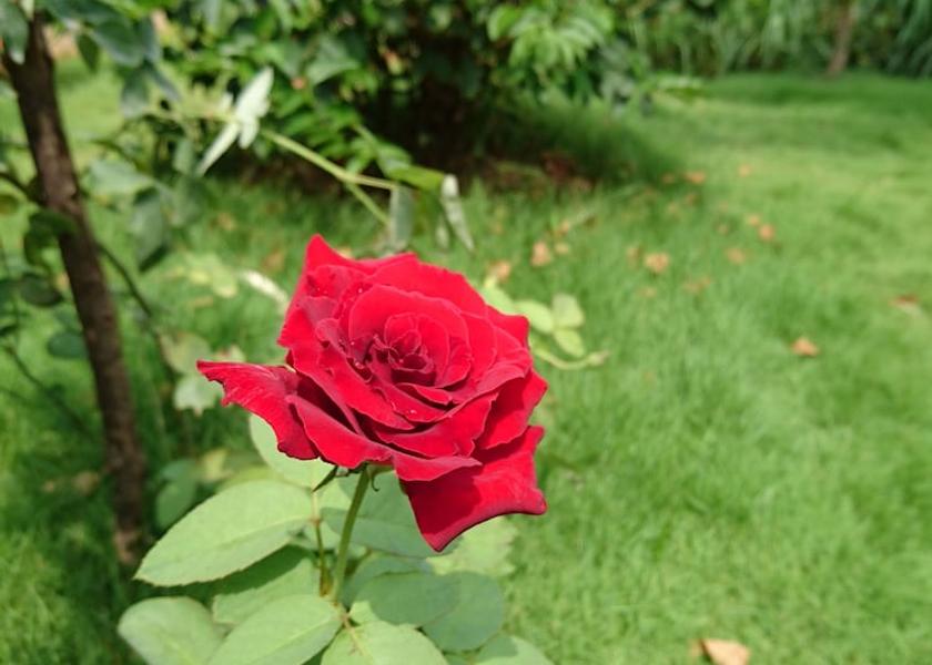 Kien Giang Phu Quoc View from Property