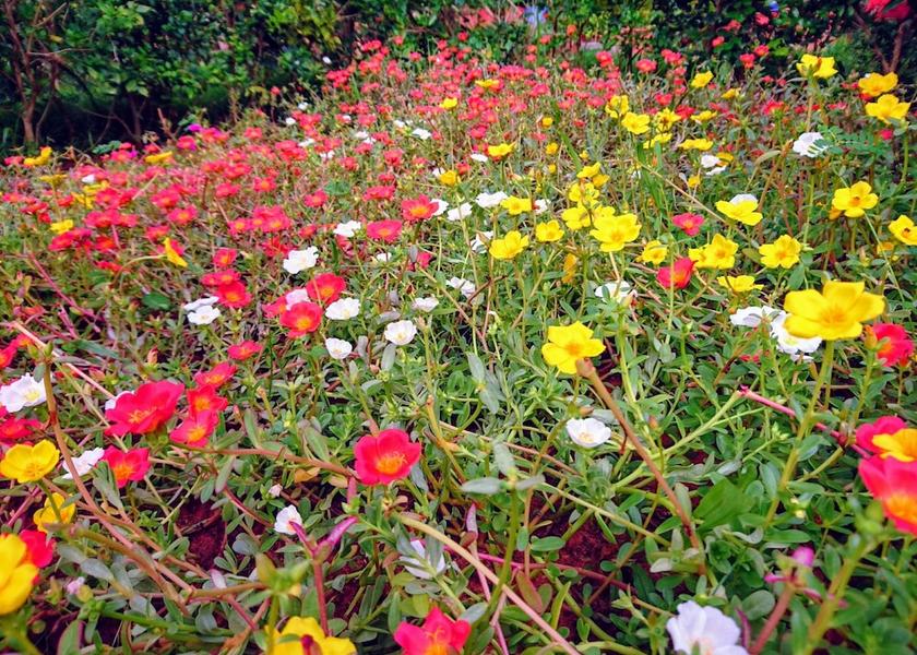 Kien Giang Phu Quoc View from Property