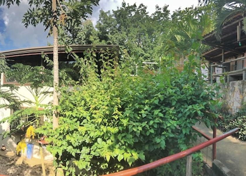 Guanacaste La Cruz Exterior Detail