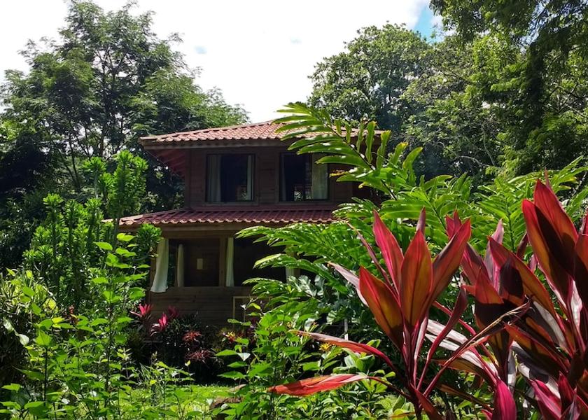 Puntarenas Province Ciudad Cortés Property Grounds