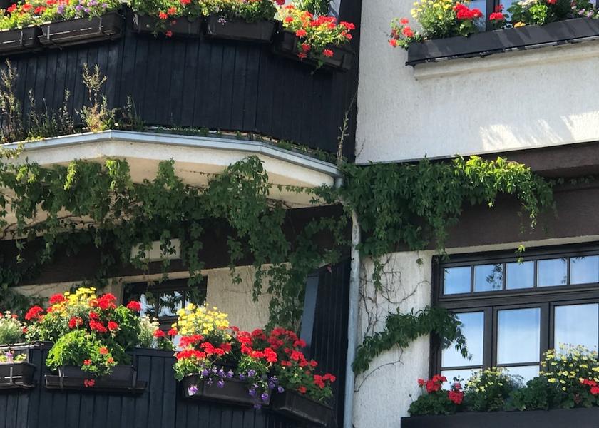 Pardubice (region) Litomysl Facade
