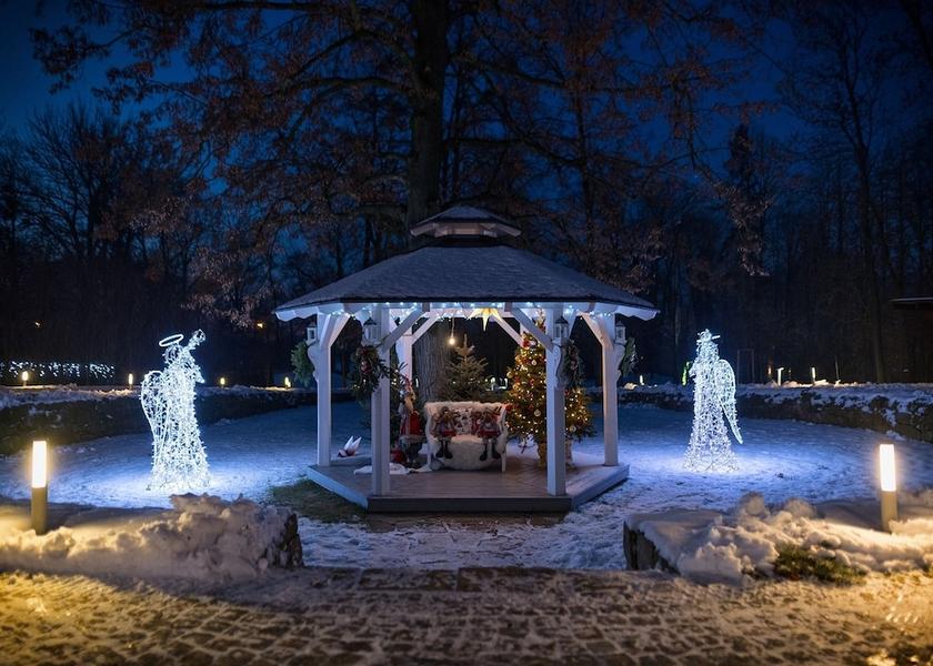 Outdoor Wedding Area