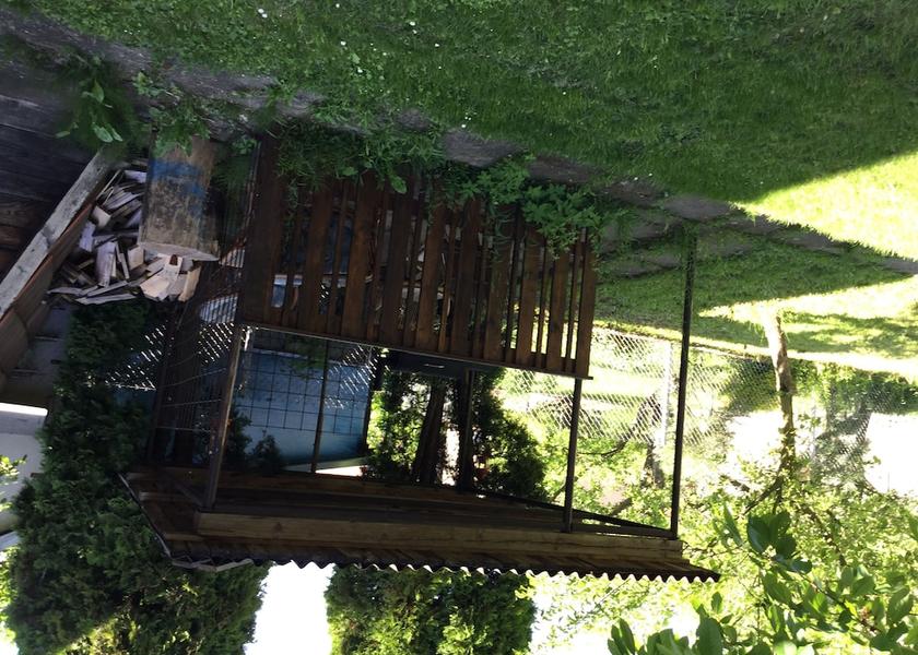 Pardubice Region Vysoke Myto Pet-Friendly