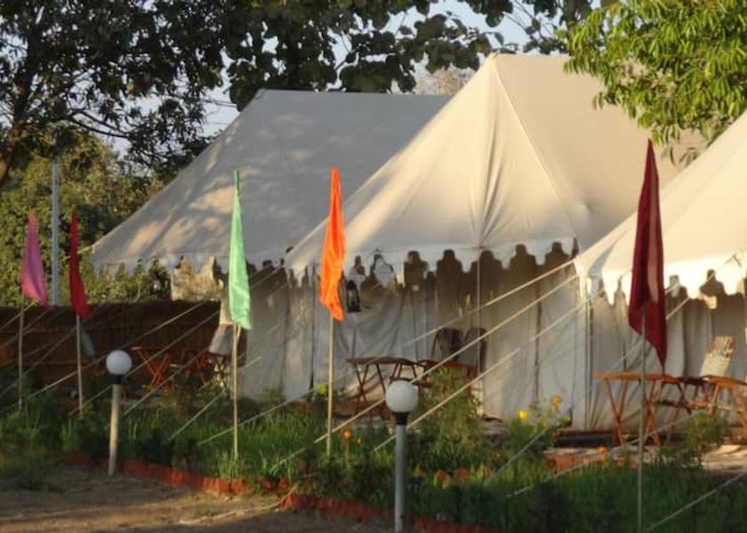 Rajasthan Pushkar Camp