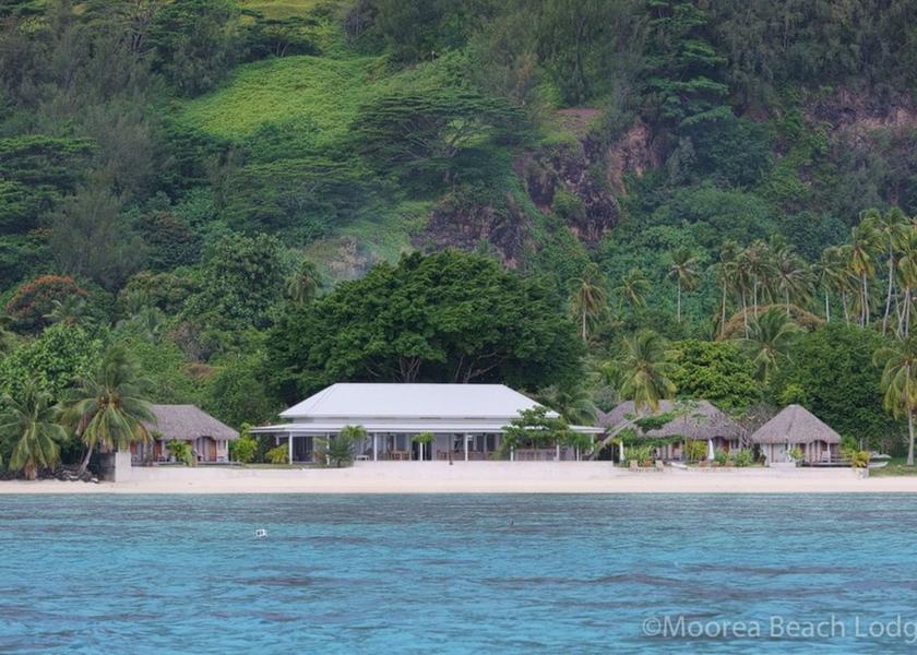  Moorea Property Grounds