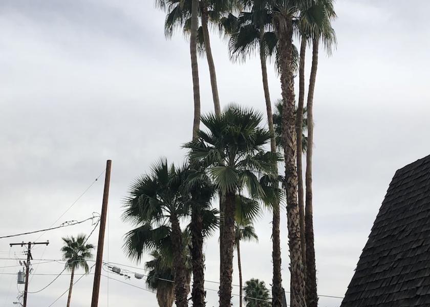 California Palm Springs Interior Entrance