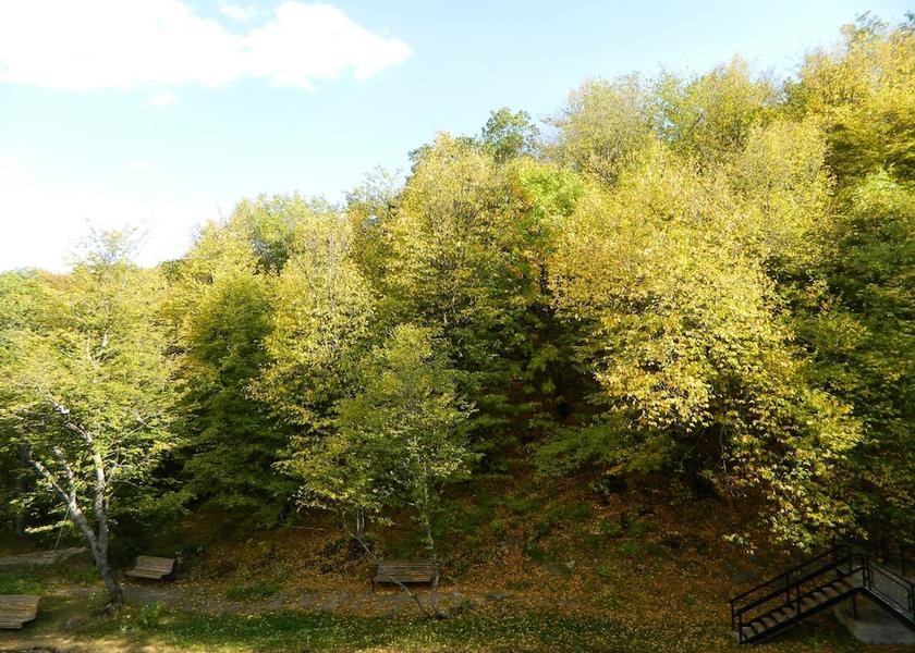  Tsaghkadzor View from Property