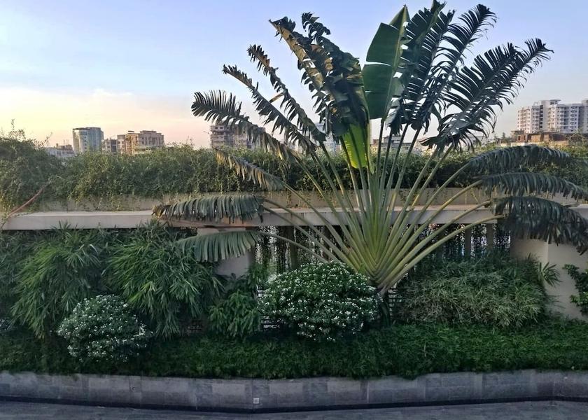  Dhaka Terrace