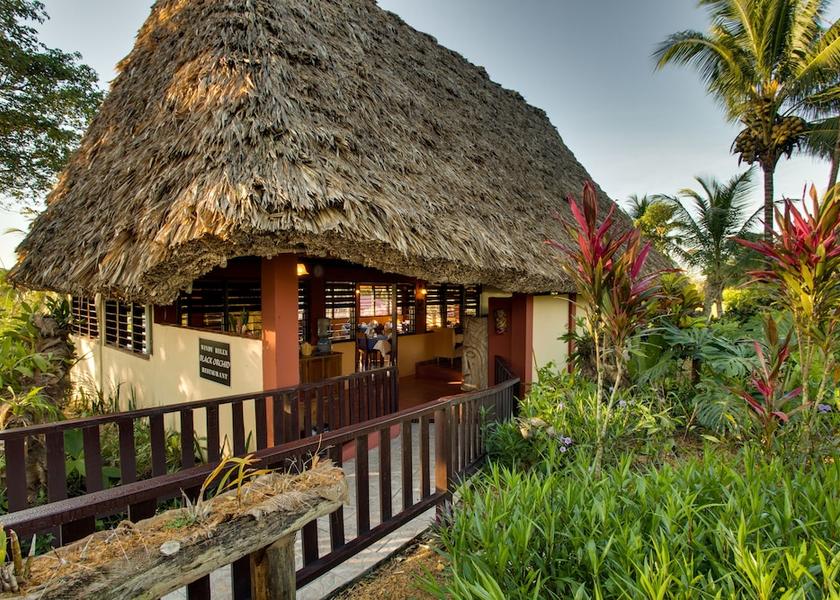 Cayo District San Ignacio Garden