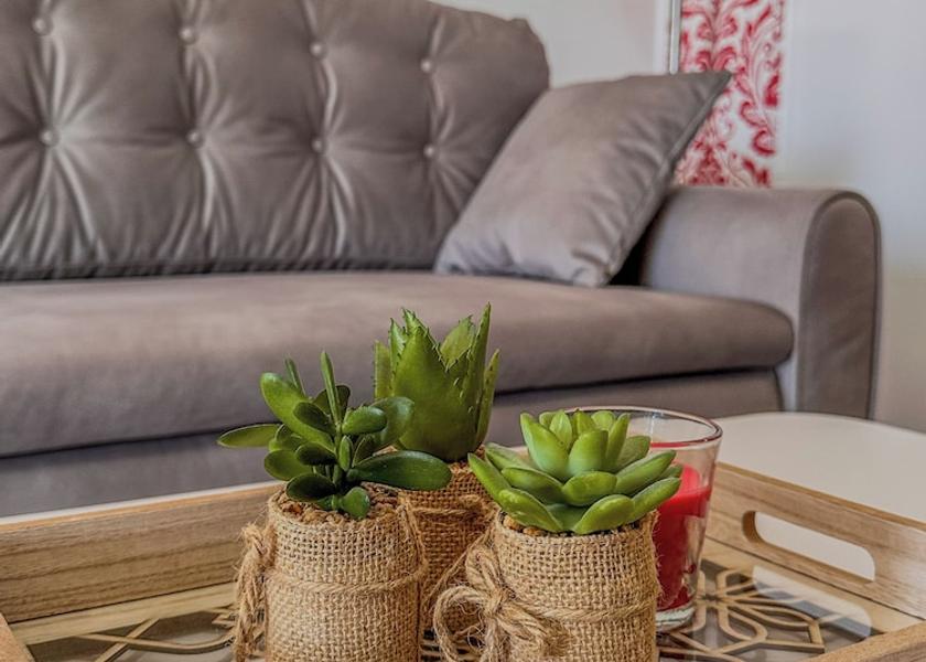 Kotor Municipality Risan Living Area