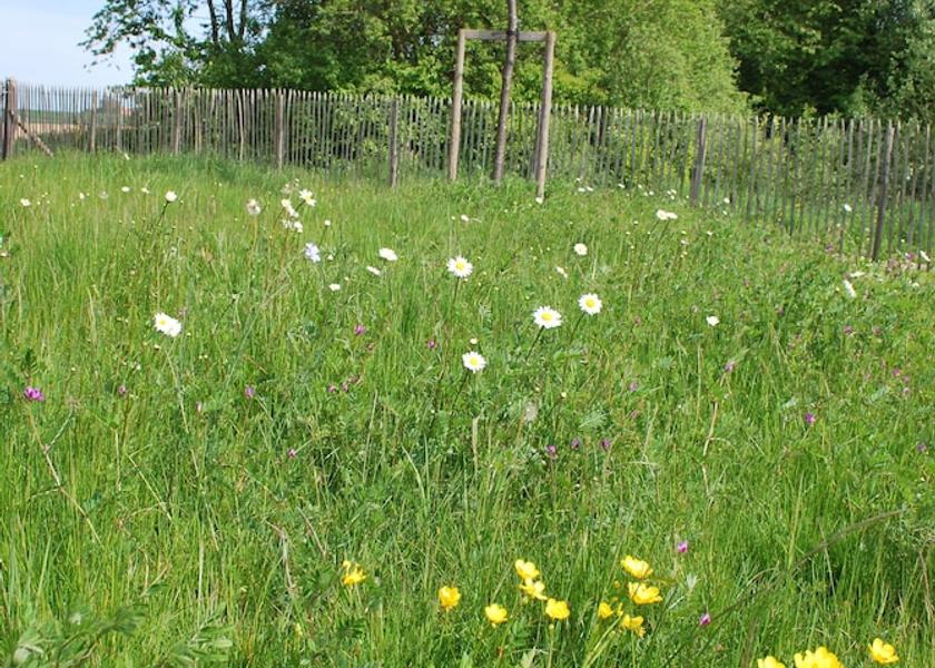 Walloon Region Mont-Saint-Guibert Exterior Detail