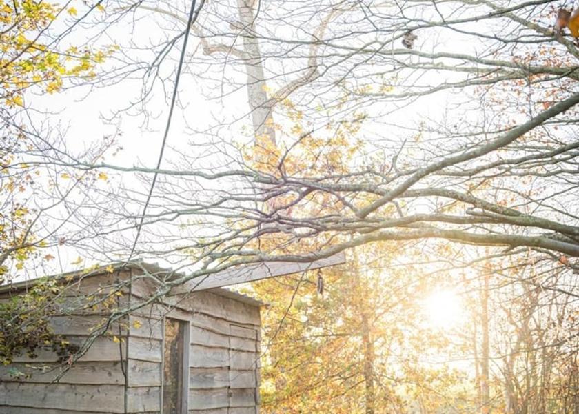 Flemish Region Hooglede Property grounds