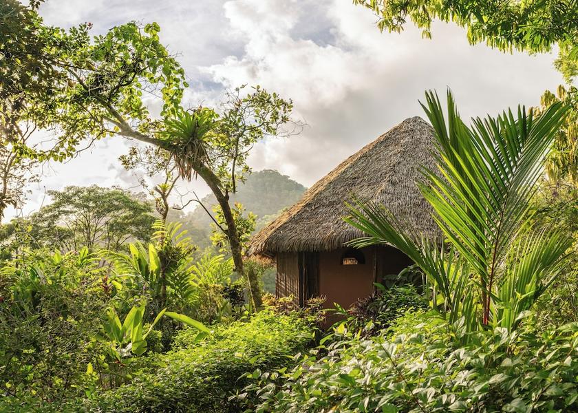 Puntarenas Province Puerto Jiménez Room