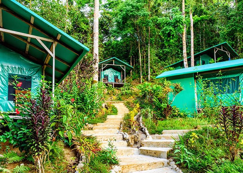 Puntarenas Province Puerto Jiménez Room