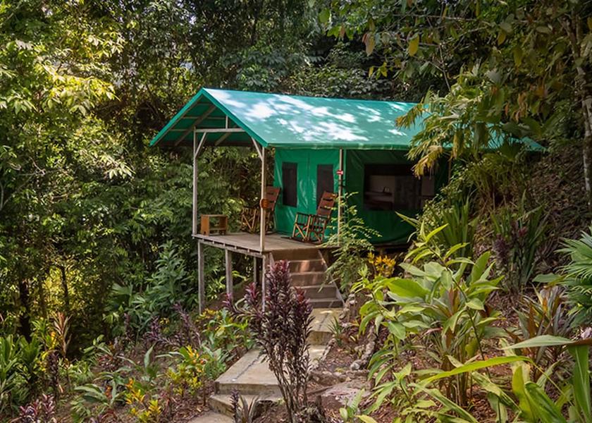 Puntarenas Province Puerto Jiménez Room